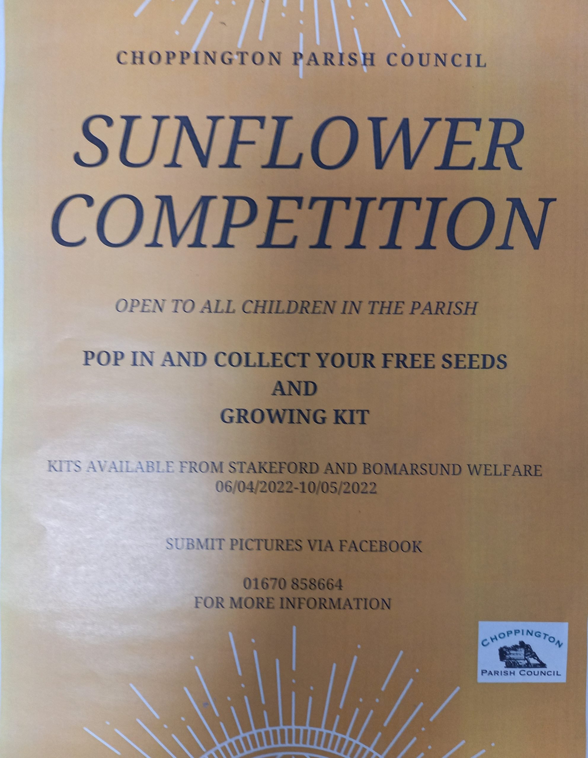 Poster advertising Sunflower competition